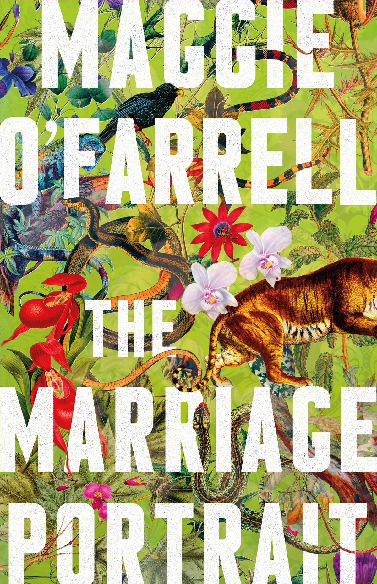 Women’s Prize shortlist review #3 – “The Marriage Portrait” by Maggie&nbsp;O’Farrell